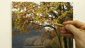 How To Paint An Autumn Tree